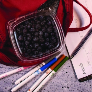 ClearPac SafeSeal Tamper-Resistant/Evident Containers, Flat