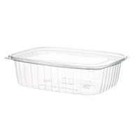 Renewable and Compostable Rectangular Deli Containers, 48 oz