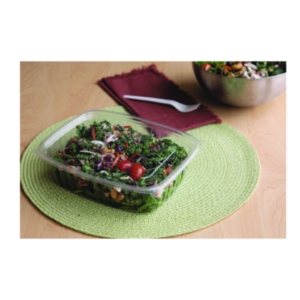 Renewable and Compostable Rectangular Deli Containers, 48 oz
