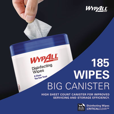 Disinfecting Wipes, 1-Ply, 5.16 x 8.5, Fresh Scent, White, 1