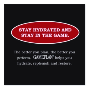 Gameplan Sports Drink, Fruit Punch, 20 oz Bottle, 24/Carton