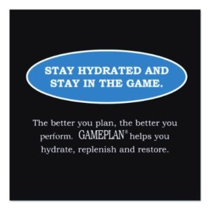Gameplan Sports Drink, Mixed Berry, 20 oz Bottle, 24/Carton