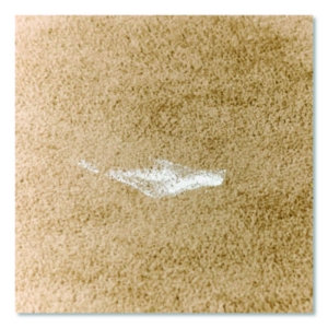 Professional Carpet Stain Remover Plus Deodorizer, Lemon Sce