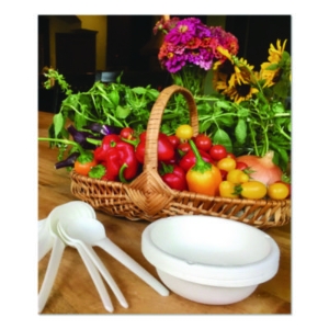 Plantware Compostable Soup Spoon, Heavyweight, Plastic, Whit