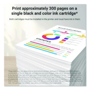 8278B023 (PG-245XL/CL-246XL) High-Yield Ink, Black/Color