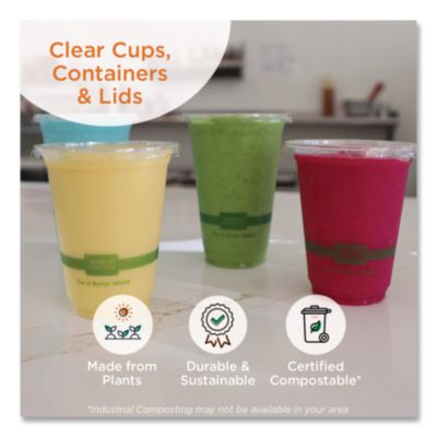 PLA Rectangular Deli Container Lids, 4.8 x 5.9 x 0.3, Clear,
