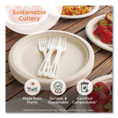 PLA Compostable Cutlery, Tasting Spoon, Plastic, 3", Light B