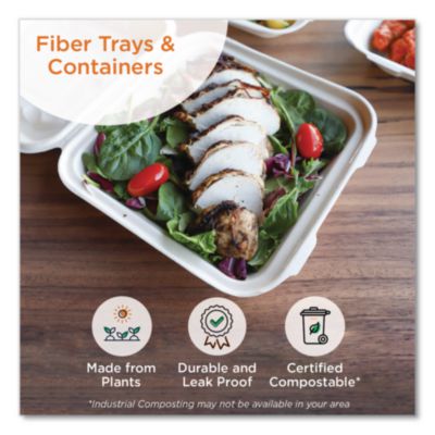 Fiber Hinged Takeout Containers, 7 x 8.3 x 3.2, Natural, Pap