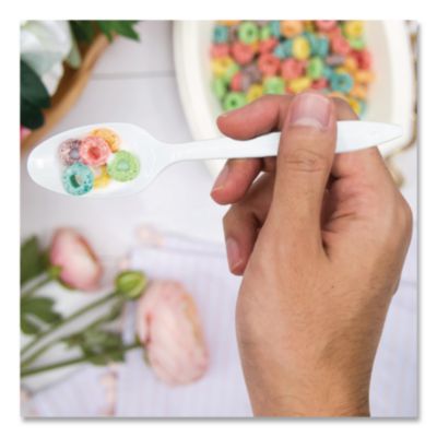 Style Setter Medium Weight Polypropylene Cutlery, Teaspoon,