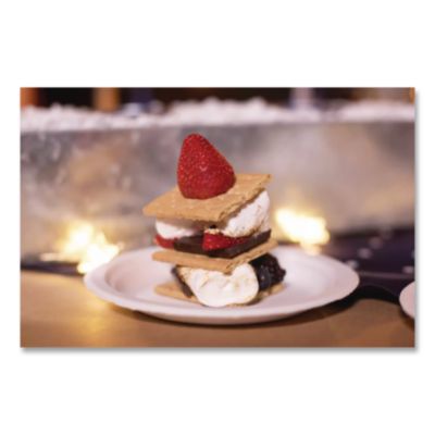 Paper Dinnerware, Plate, 10.5" Dia, White, 500/carton