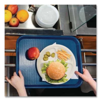 Compostable Molded Fiber Dinnerware, ProPlanet Seal, 3-Compa