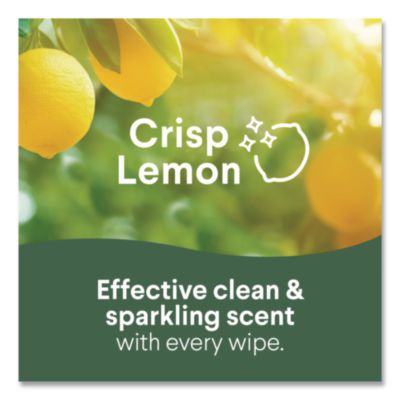Disinfecting Wipes, Bleach Free Cleaning Wipes, 1-Ply, 7 x 7