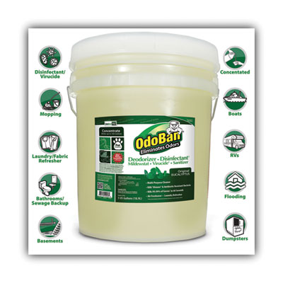 Concentrated Odor Eliminator And Disinfectant, Eucalyptus, 5