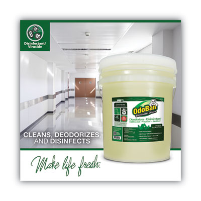 Concentrated Odor Eliminator And Disinfectant, Eucalyptus, 5