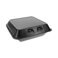 SmartLock Foam Hinged Lid Container, Large, 9 x 9.1 x 3.3, B