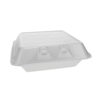 SmartLock Foam Hinged Lid Container, Large, 9 x 9.1 x 3.3, W