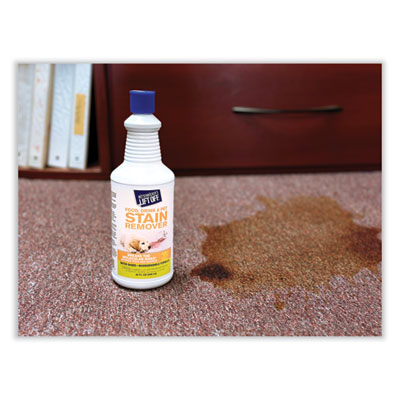 Food/Beverage/Protein Stain Remover, Unscented, 32 oz Pour B