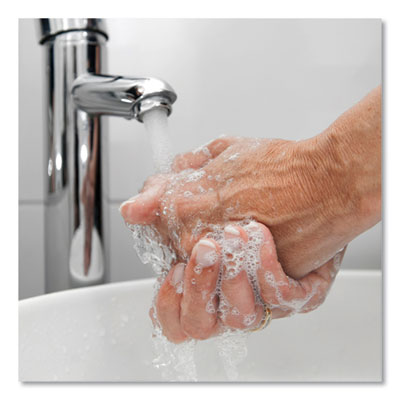 Extra Mild Foam Soap Refill, Unscented, 1 L, 6/Carton