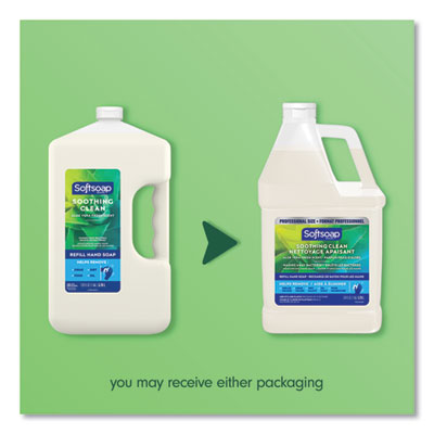 Liquid Hand Soap Refill with Aloe, Aloe Vera Fresh Scent, 1