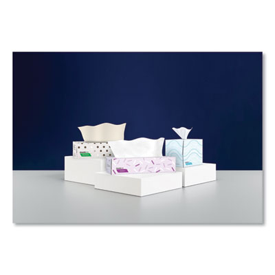 Select Flat Box Facial Tissue, 2-Ply, White, 100 Sheets/box,
