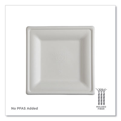 Vanguard Renewable and Compostable Sugarcane Plates, 10 x 10