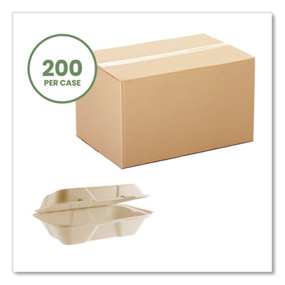 Nourish Molded Fiber Takeout Containers, Compostable, 6.1 x
