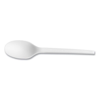 White CPLA Cutlery, General Purpose Spoon, Plastic, 1,000/Ca