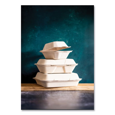 Nourish Molded Fiber Takeout Containers, Compostable, 7.9 x