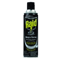 Raid Wasp and Hornet