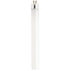 Fluorescent Tube 1 ft T5 Lamp Single