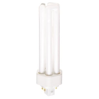 Compact Fluorescent - 42 watt - Warm White (3000K)