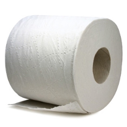 Toilet Tissue  (BT100)